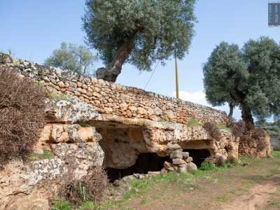 Torniamo all�esterno e ci spostiamo sul lato occidentale della lama dove, sotto ulivi e muretti a secco, si celano altre 13 grotte, disposte ai lati di un sentiero sterrato